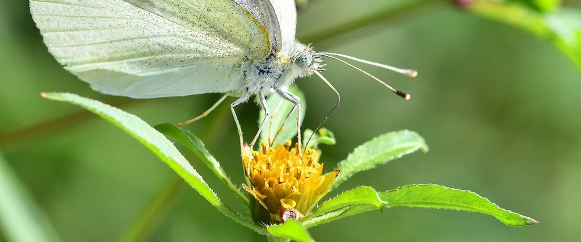 体育投注平台PG电子