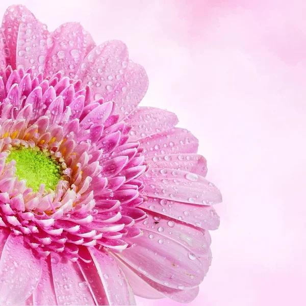 体育投注平台棋牌游戏